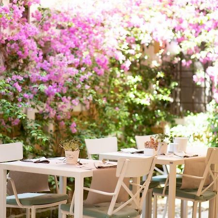 B&B Residenza Di Via Fontana ลุคคา ภายนอก รูปภาพ