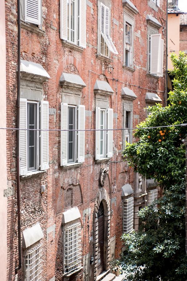 B&B Residenza Di Via Fontana ลุคคา ภายนอก รูปภาพ