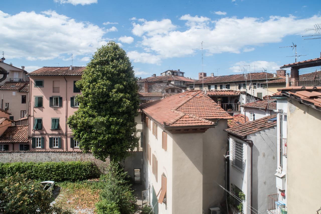 B&B Residenza Di Via Fontana ลุคคา ภายนอก รูปภาพ